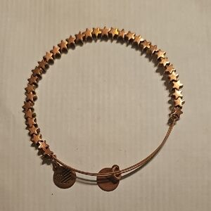 Alex and Ani Gold Star Charm Bracelet